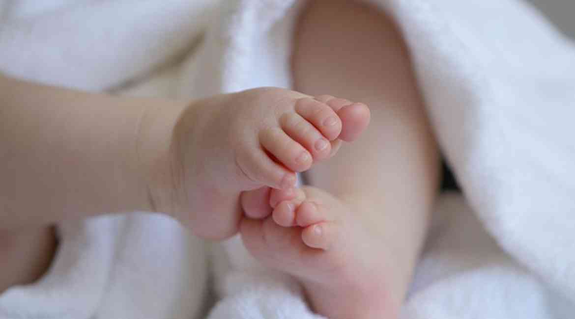 Marjonhorn Baby 6823431 640