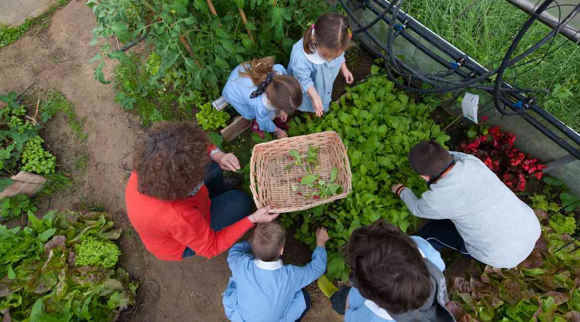 Orto In Condotta Premio Ue 3