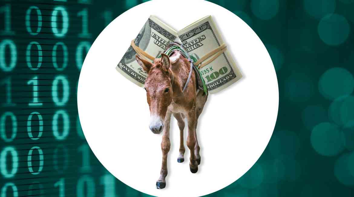 Money Mules1