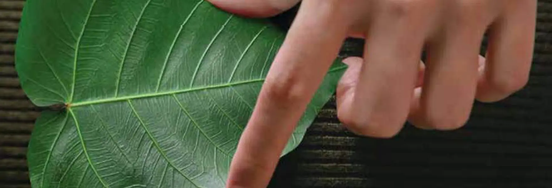 23Nov Cremona ESG Convegno 