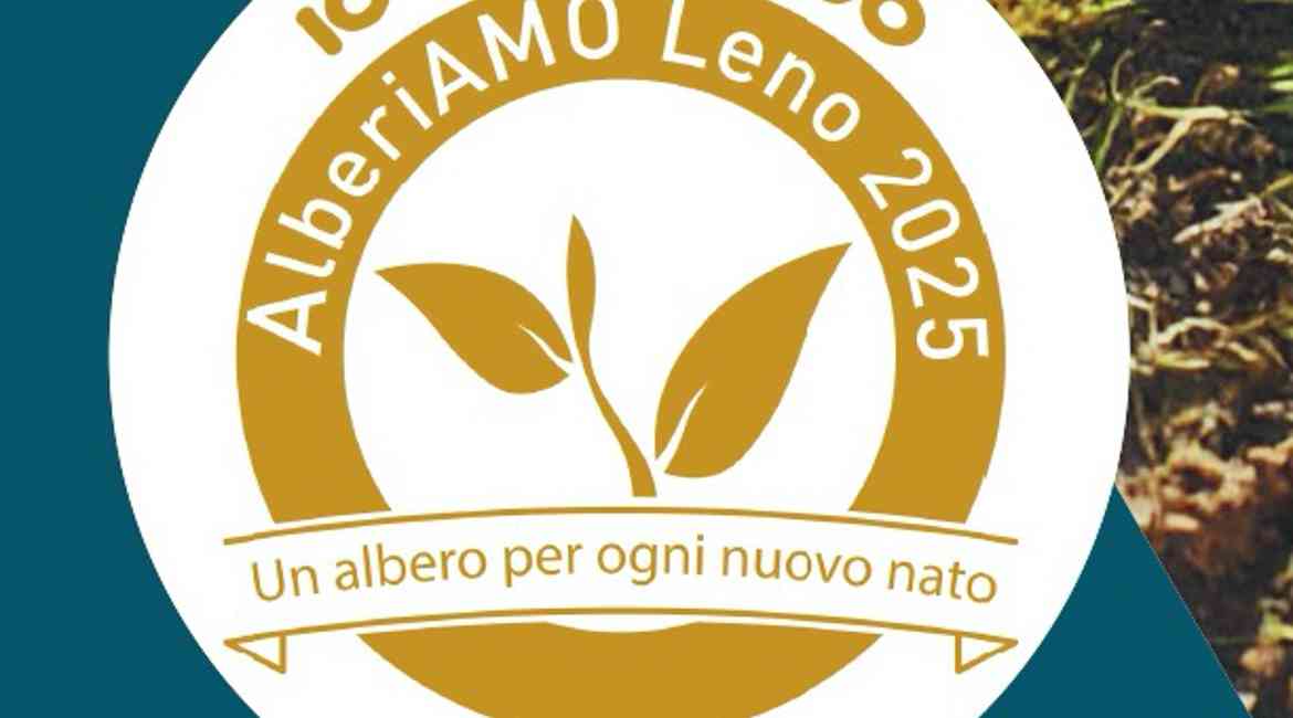 Locandina ALBERIAMO